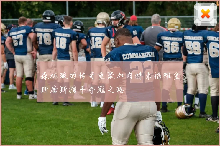 森林狼的传奇重聚加内特乐福维金斯唐斯携手夺冠之路