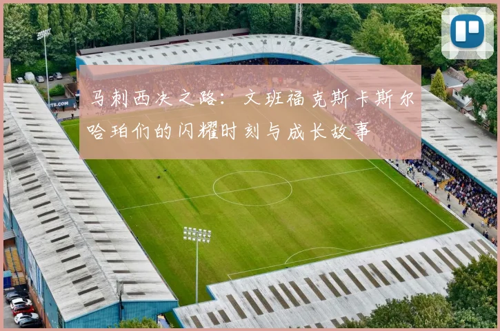 马刺西决之路：文班福克斯卡斯尔哈珀们的闪耀时刻与成长故事
